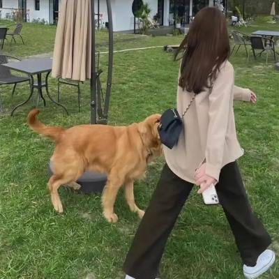 探险活宝第二季